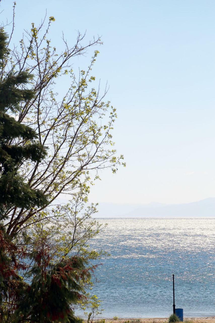 Candia House Dış mekan fotoğraf
